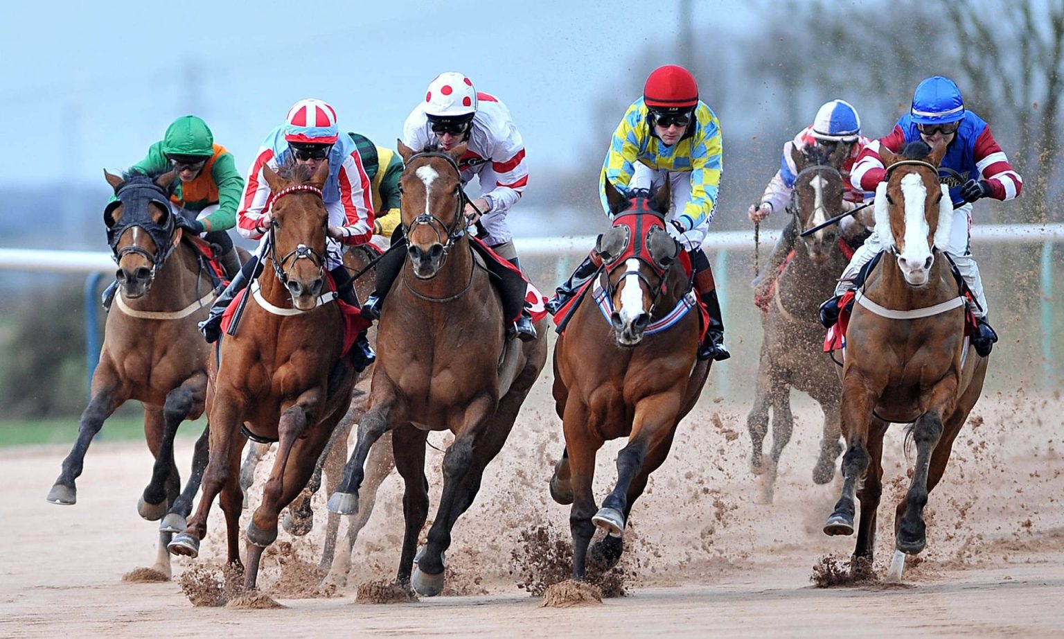 The Ultimate Guide to Horse Racing Betting Online: Tips, Platforms & Strategies